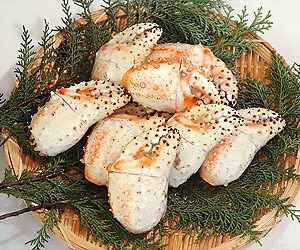 ����X�y�V�����{�C���^���o�܁i1kg7�`8�j