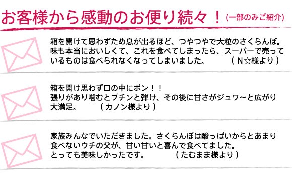 お客様から 感動のお便り続々です