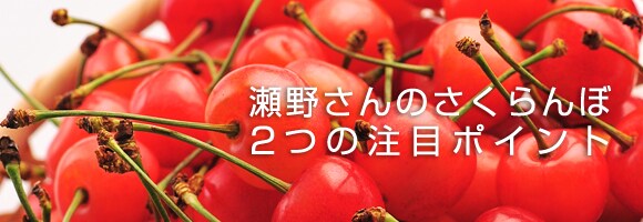 瀬野さんのさくらんぼ 3つの注目ポイント