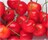 �y�����߂��z���c����̍����с@��300g