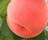 �v�ÊԂ���̂�������X�����i�M�z�j1kg�O��