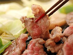 �������X�̃W���M�X�J���Z�b�g