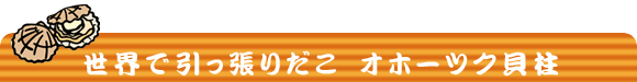 ���E�ň������肾�� �I�z�[�c�N�L��