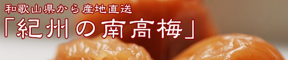 �a�̎R������@�I�B�̓썂�~���Y�n�����I