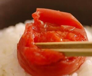 �K�i�O�i�I�I�B�̓썂�~�@�����Ђ�