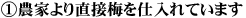 1 農家より直接梅を仕入れています