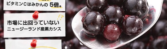 �j���[�W�[�����h����g�j���[�W�[�����h�Y�Ⓚ�J�V�X�h���Y�n�����I
