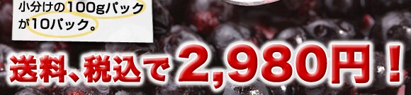 �j���[�W�[�����h����g�j���[�W�[�����h�Y�Ⓚ�J�V�X�h���Y�n�����I