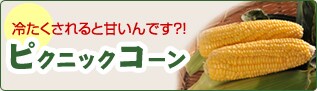 �s�N�j�b�N�R�[��
