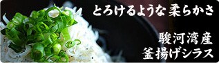 �x�͘p�Y ���g���V���X