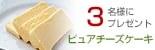 �ץ쥼��ȡ�