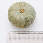 ���a��10cm