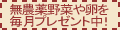51image/120x60_2.gif