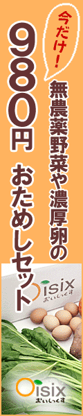 おためし120x600_980