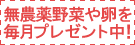 54image/135x45_1.gif