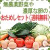 �o�i�[2