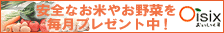 �o�i�[3