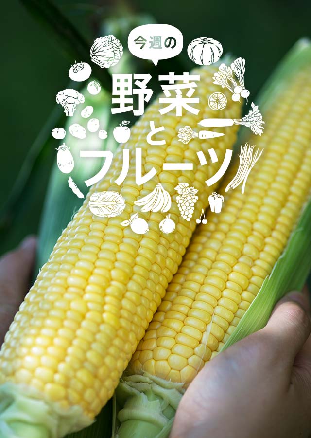 海藻クリスタル 菜の花麺 500ｇ 黄色 日本業務食品海藻麺 20袋入り