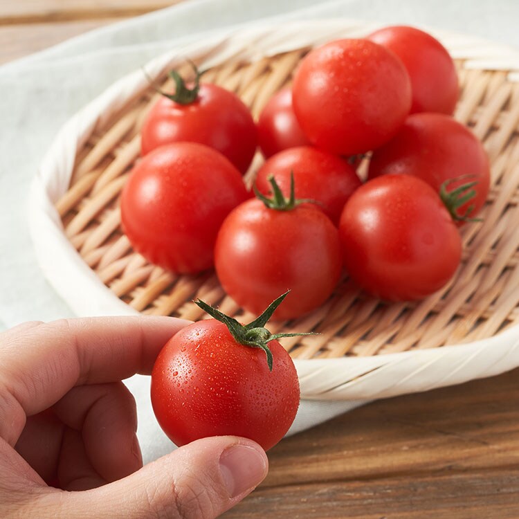 予約特典 tomato 様専用 | www.ouni.org