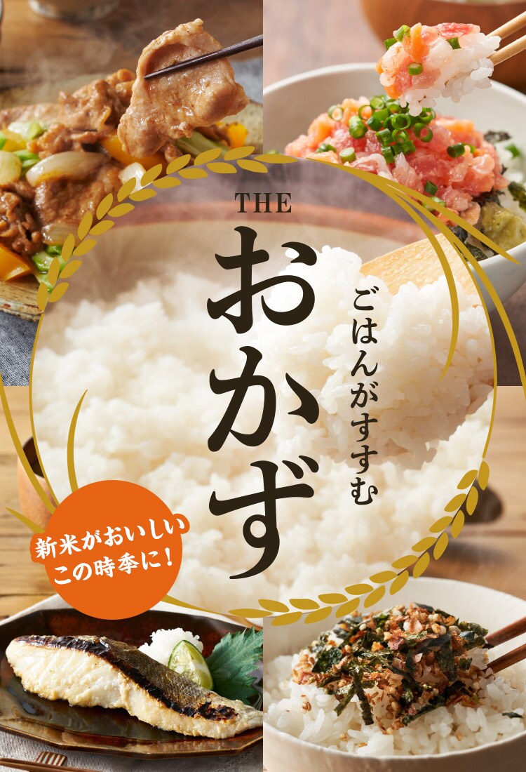 ごはんがすすむおかず(10/13更新)|Oisix(おいしっくす) ごはんがすすむおかず(10/13更新)|Oisix(おいしっくす)