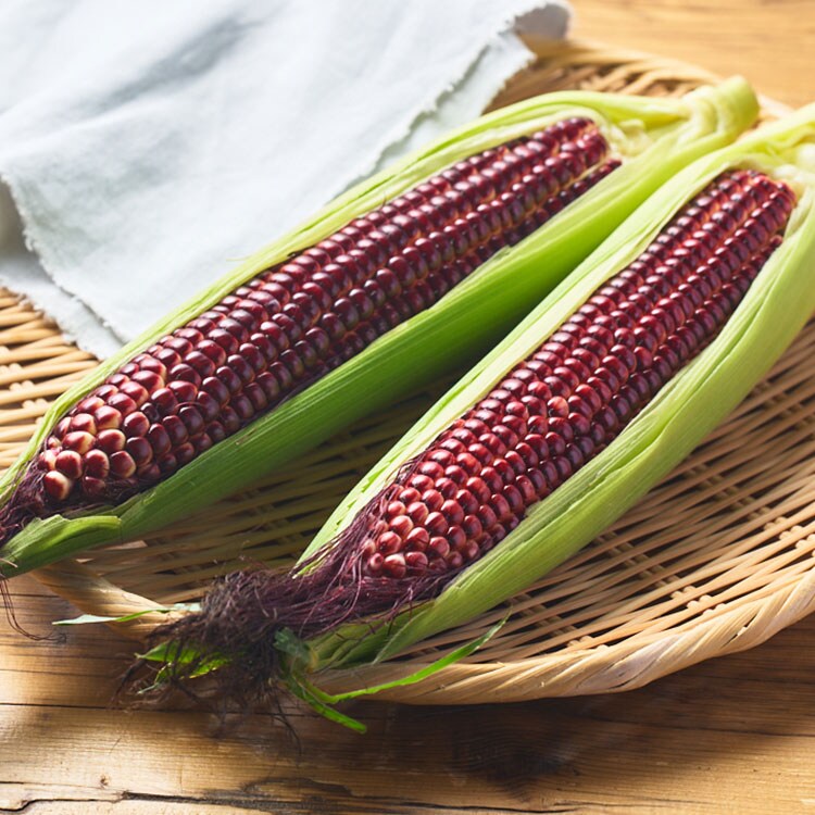 今週の野菜とフルーツ（7/13更新）｜Ｏｉｓｉｘ（おいしっくす）