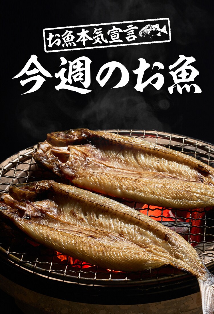 イア　パピヨネ　ファビオルスコーニ  メッシュスリッポン　38（24センチ） ear PAPILLONNER - ファビオルスコーニ メッシュスリッポン 38