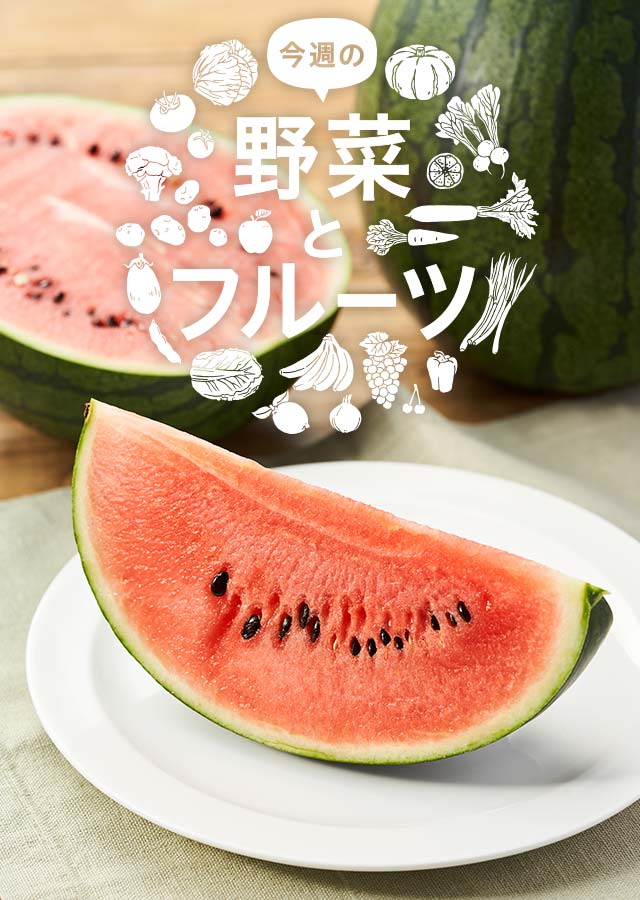 ホワイトチップス錦・大株・このまま発送 職場でいただいた胡蝶 ホワイトチップス錦・大株・このまま発送 職場でいただいた胡蝶
