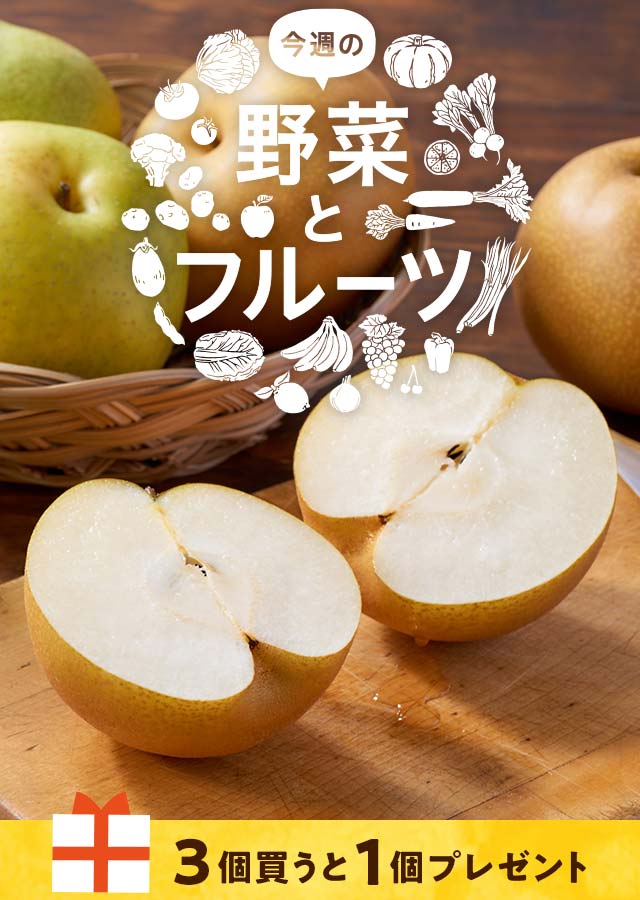 りんご大好き様 リクエスト 3点 まとめ商品 【公式通販】