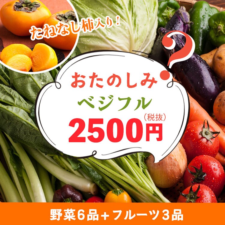 訳あり品④16種（32種）のお野菜セット カッティングダイ 訳あり品 野菜
