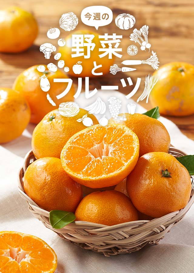 家庭用B品グレープフルーツ27玉 今週の野菜とフルーツ（11/20更新）｜