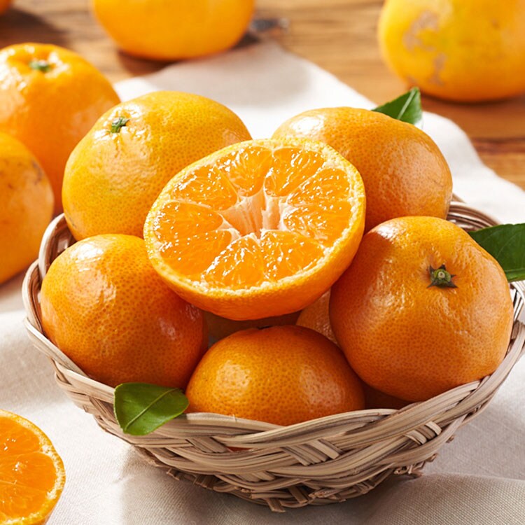 今週の野菜とフルーツ（12/25～26/1/1 10:00）｜Oisix