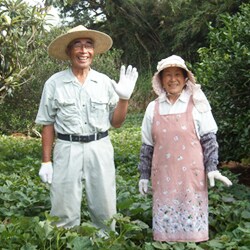 生産者の梶原さんご夫婦。穏やかな笑顔が印象的です。