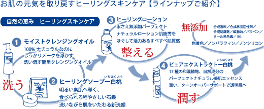 ラインナップご紹介