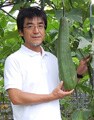 とっても大きなヘチマです