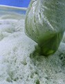 ヘチマの葉エキスの完成です