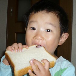 しっとり長持ち ダブル酵母食パン