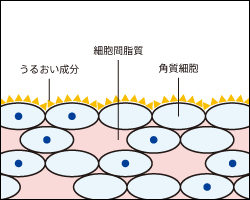 与湿