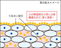 保湿