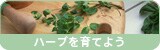 n[uĂ悤