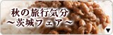 H̗sC`tFA`