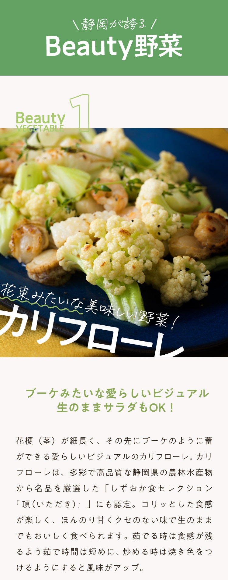 BEAUTY and HEALTHY SHIZUOKA