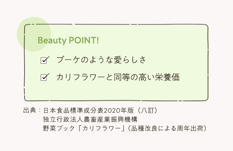 BEAUTY and HEALTHY SHIZUOKA