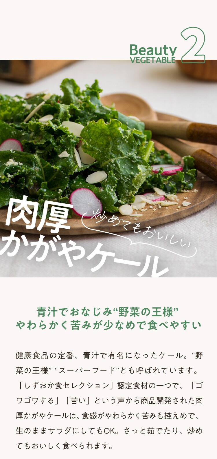 BEAUTY and HEALTHY SHIZUOKA