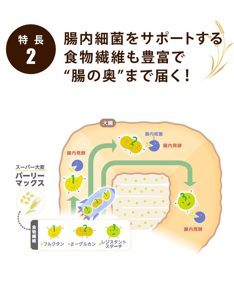 TEIJIN~Oisix X[p[唞uo[[}bNXv