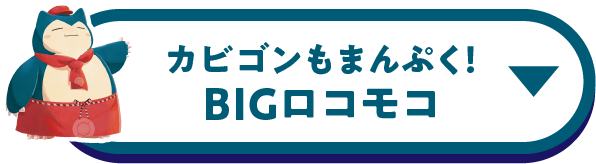 JrS܂ՂIBIGRR