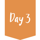 day3