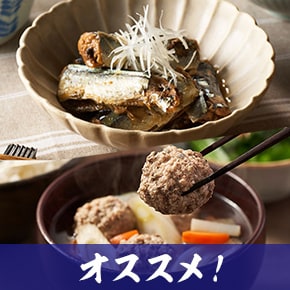 じーつ 無洗米10 無洗米 送料無料」の人気商品一覧 | 安い商品を通販サイトから