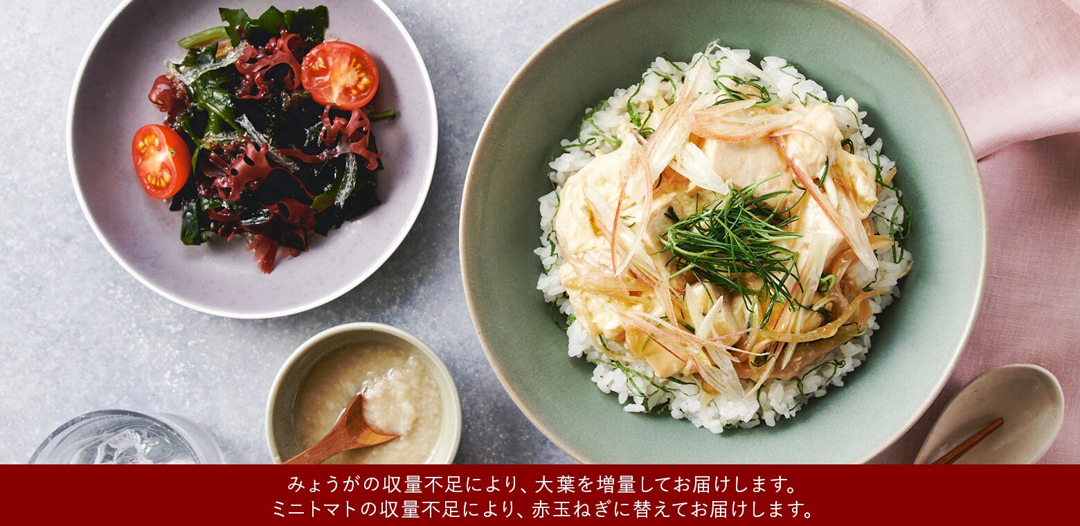 あっさり上品な味わい<br>塩麹だれのとろり湯葉丼