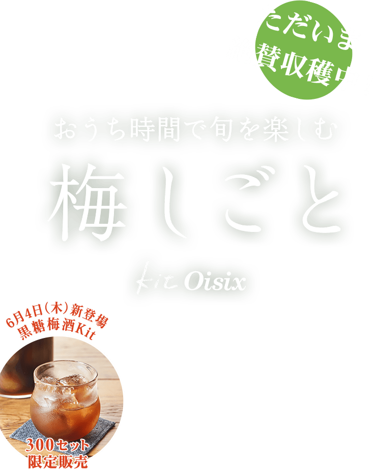 梅しごと｜Oisix（おいしっくす）