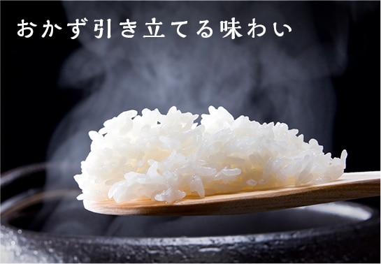 ☆◇訳あり！おいしいおこめ 新米入り小雪白米19kgです！ 1